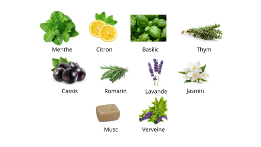 Xerjoff Torino 21 Eau De Parfum