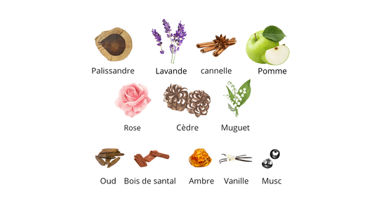 Xerjoff Alexandria II Eau De Parfum