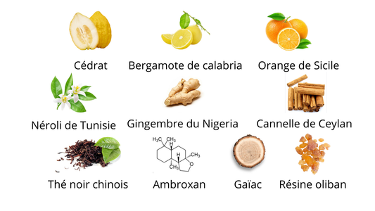 Louis Vuitton Imagination