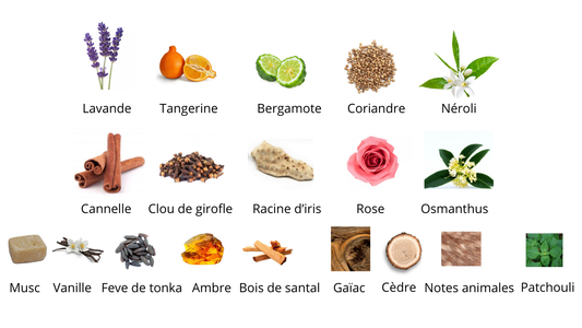 Frederic Malle Musc Ravageur Eau De Parfum