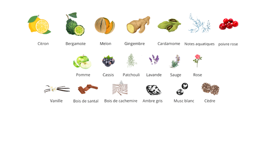 Nishane Ani X Extrait De Parfum