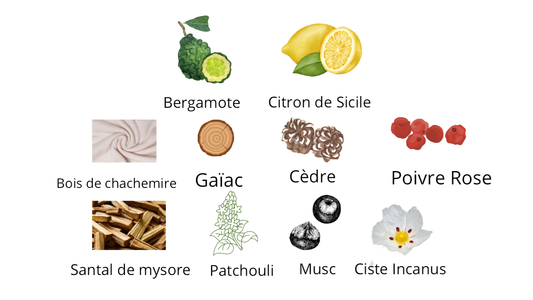 ARGOS DanaË Eau De Parfum