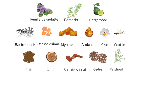 Amouage Interlude Black Iris