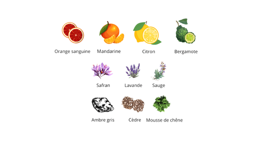 Electimuss London Trajan Extrait de Parfum