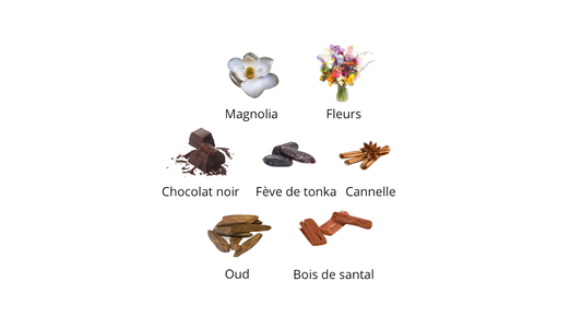 Nasomatto Pardon Extrait De Parfum