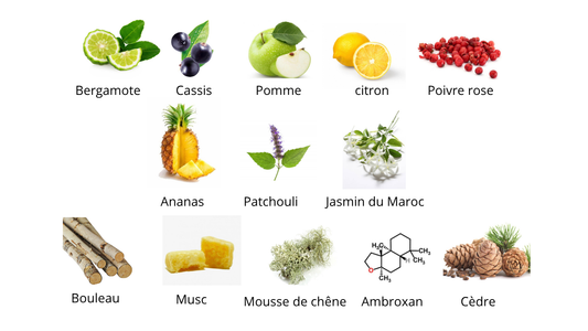 Creed Aventus Eau de parfum