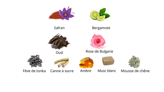 Montale Arabians Tonka