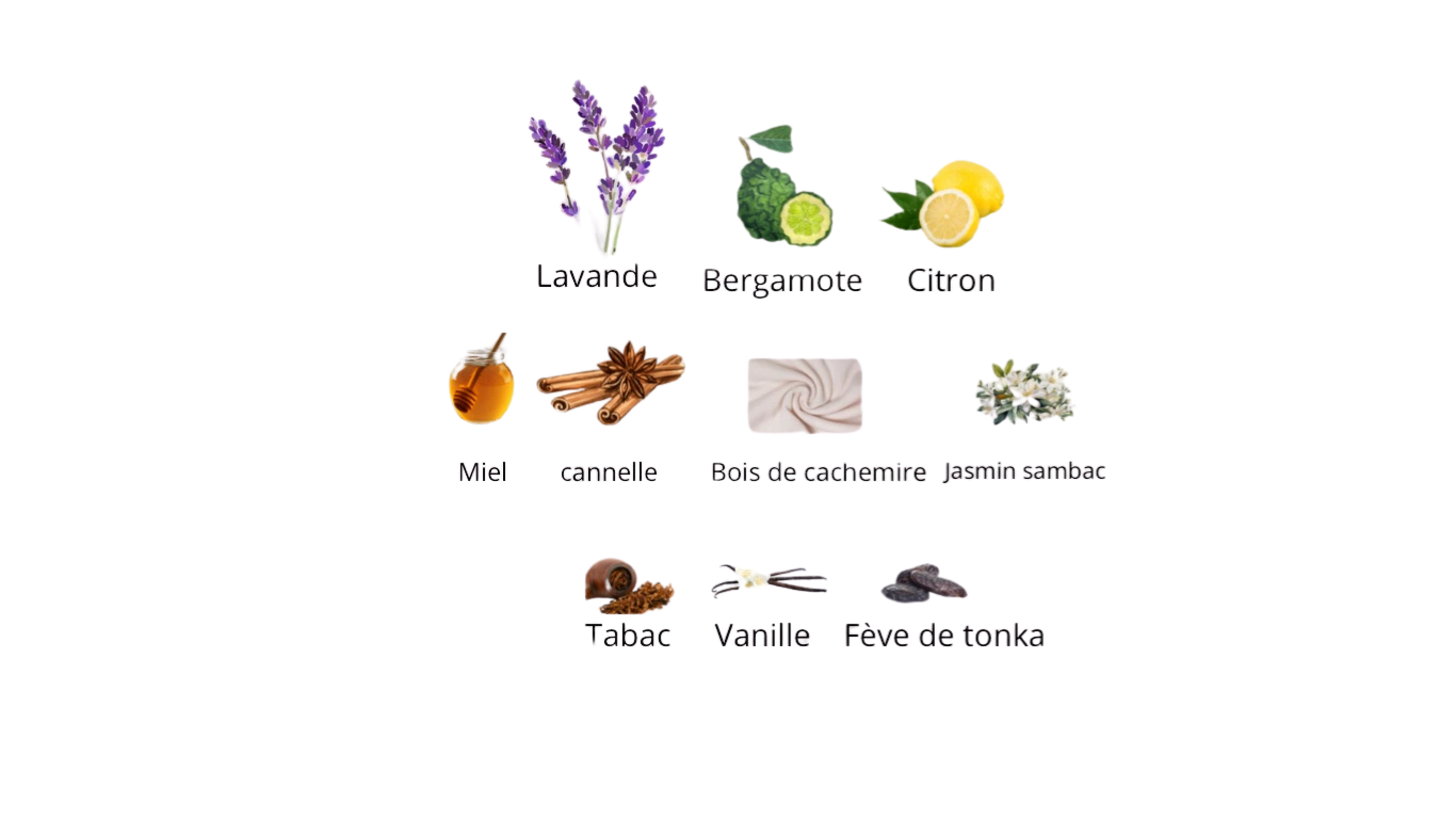 Xerjoff Naxos Eau De Parfum