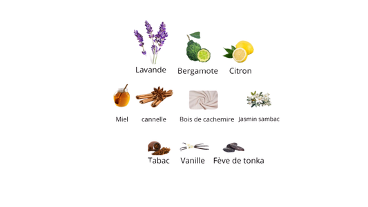 Xerjoff Naxos Eau De Parfum