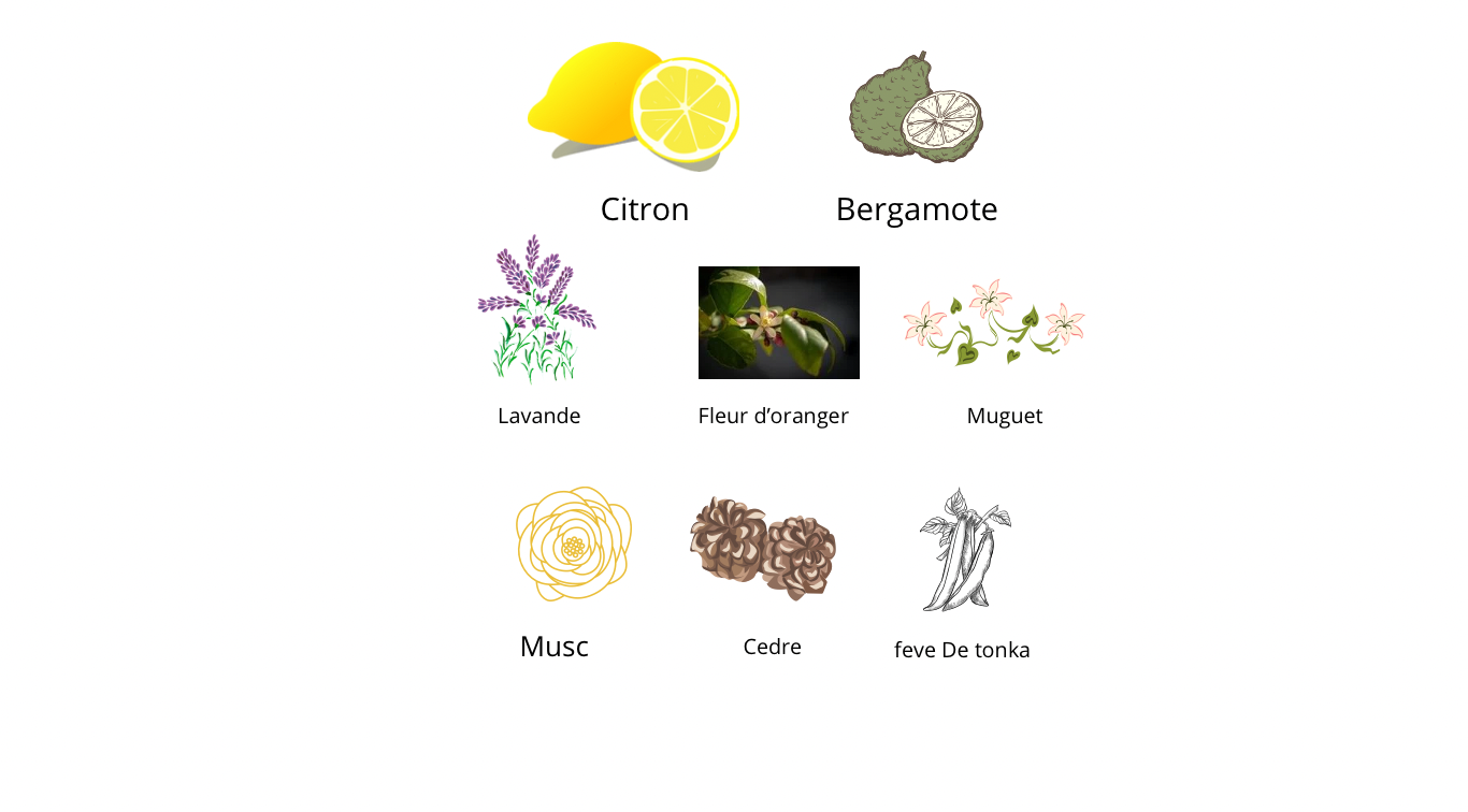 Orto Parisi Bergamask Extrait de Parfum