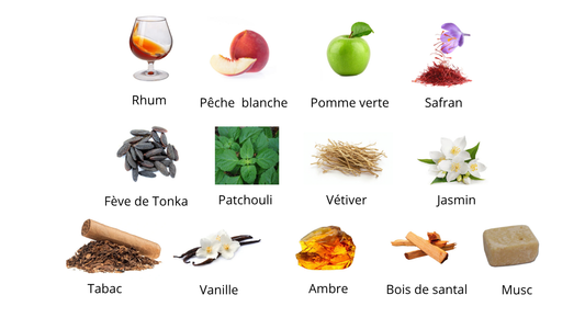 ARGOS Triumph Of Bacchus