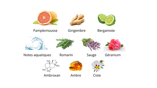 Louis Vuitton L’immensité