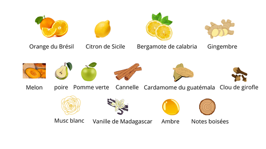 Xerjoff Erba Gold Eau De Parfum