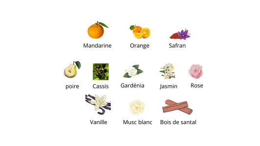 Sospiro Dolce Melodia Eau de parfum