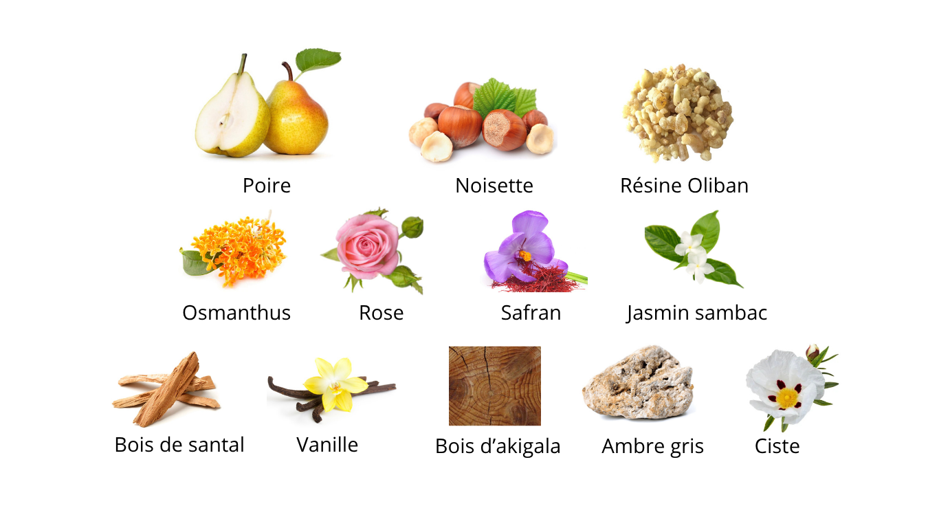 Amouage Guidance