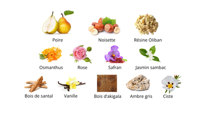 Amouage Guidance